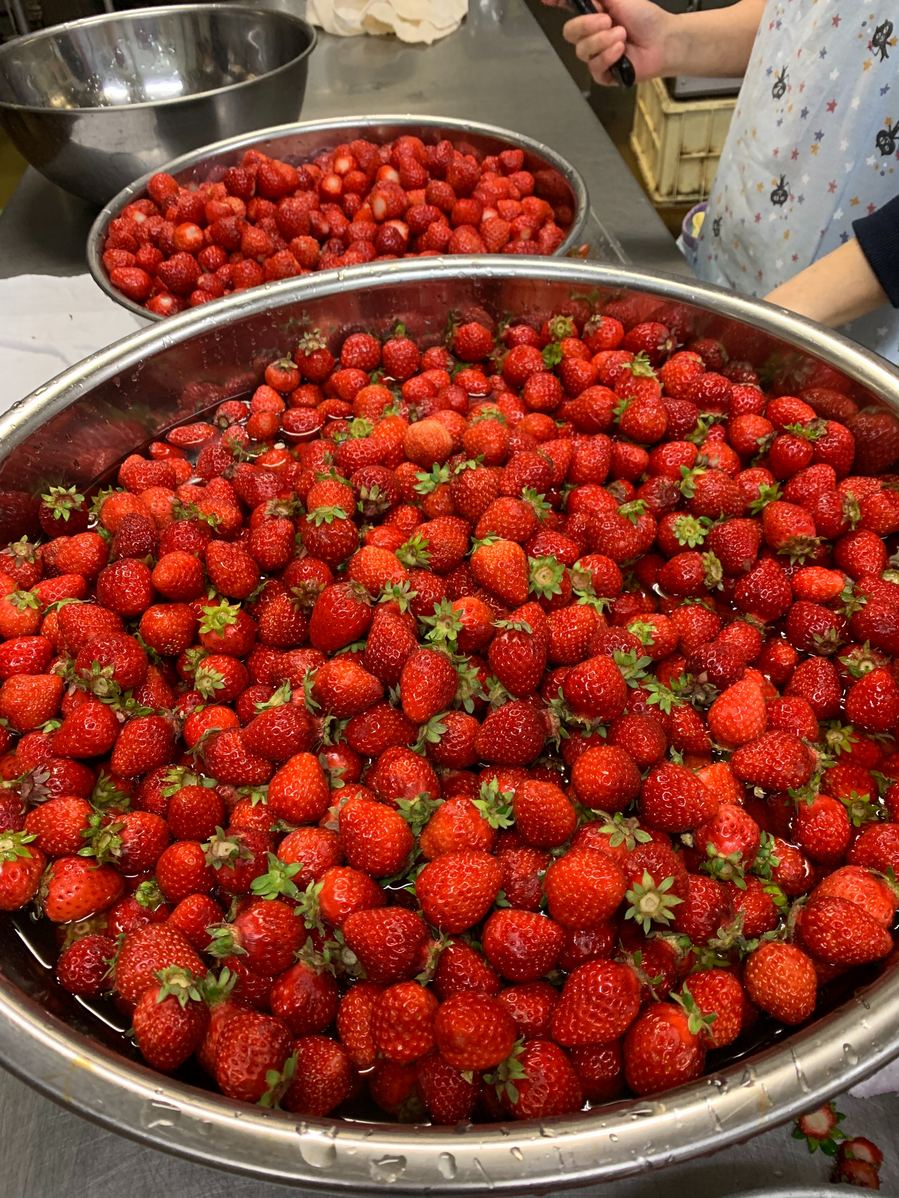 いちごの季節です！